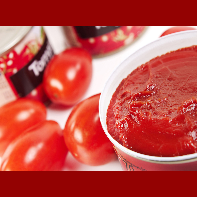 Durra Aldurra Tomato Paste 多朗传统风味番茄调味酱意大利面酱 - 图0