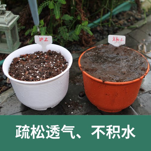 花土通用型家用多肉专用营养土养花种花种菜种植泥土盆栽有机土壤 - 图0