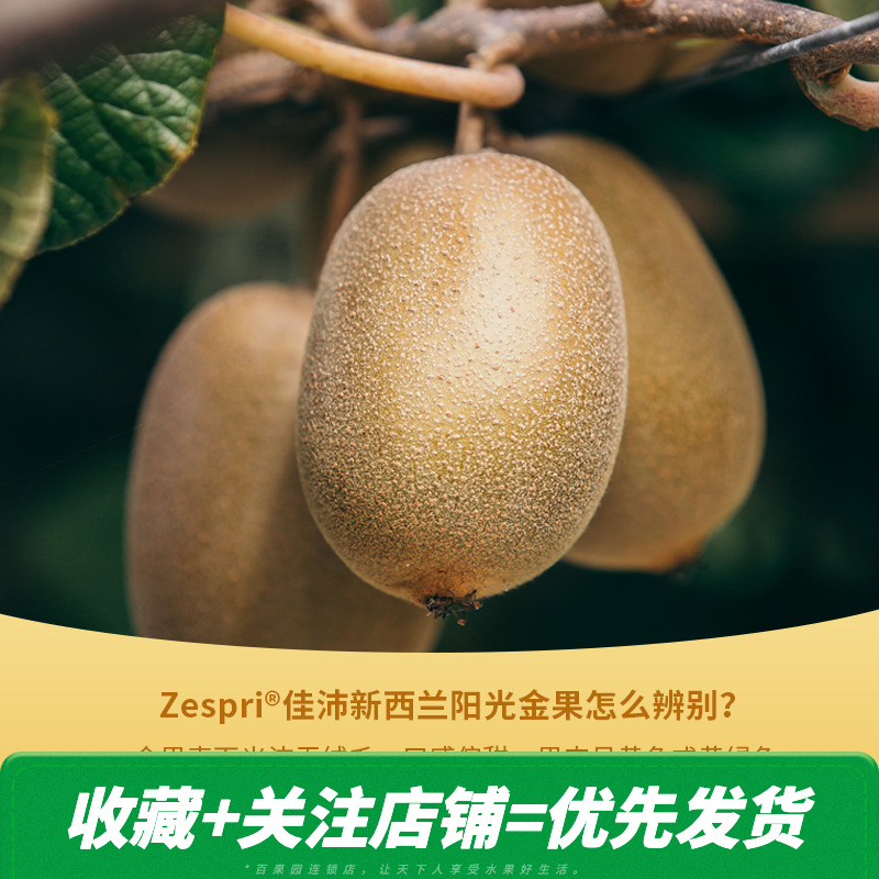 pagoda百果园旗舰店【百果园店】A级-新西兰佳沛金果奇异果12粒  新鲜水果包邮猕猴桃1