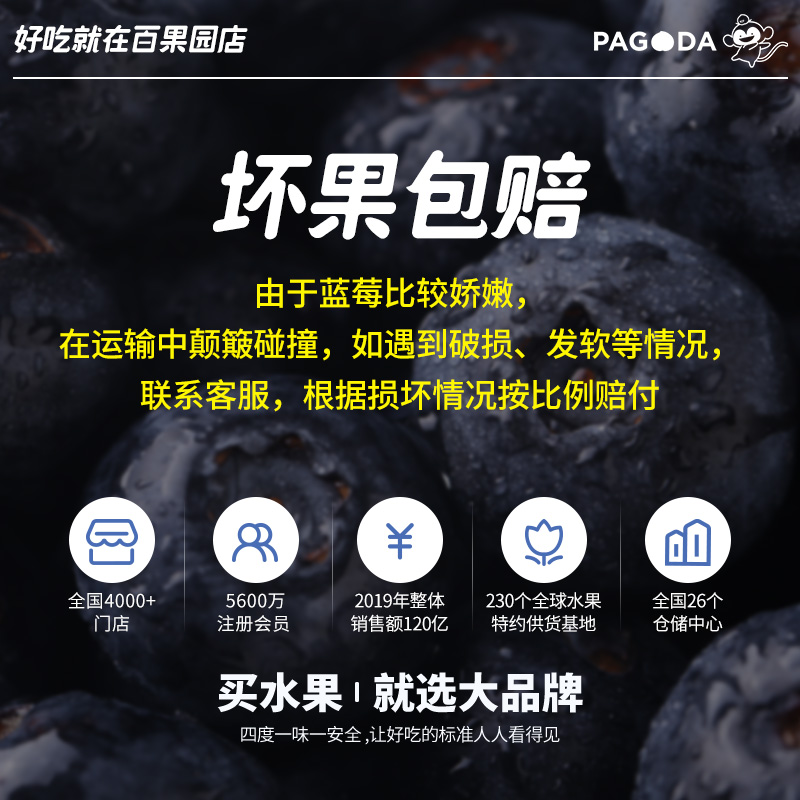 pagoda百果园旗舰店百果园店蓝莓新鲜果整箱包邮125g*8盒 山东蓝雾蓝莓当季水果新鲜3