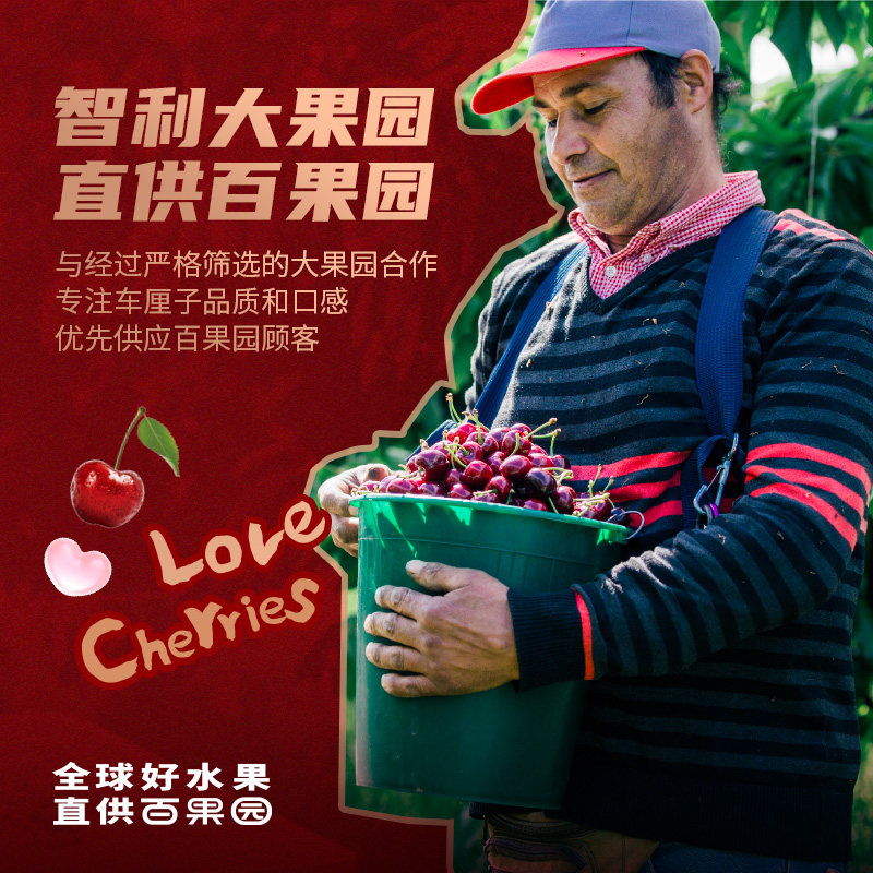 【预售】百果园店进口智利车厘子5斤3J当季新鲜大樱桃水果原箱