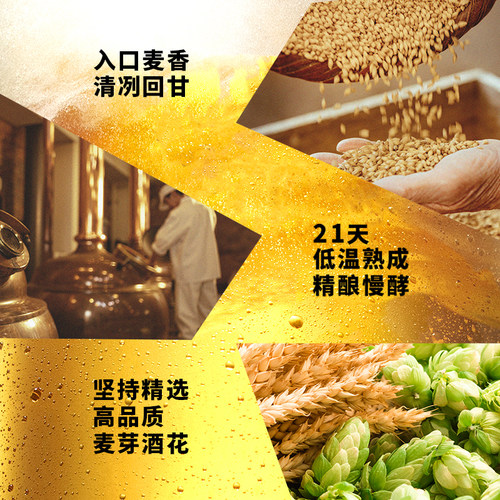 Sapporo/三宝乐日本进口啤酒350ml*24听罐11°P札幌风味整箱批发 - 图1