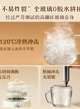知心养生壶恒温炖煮一体