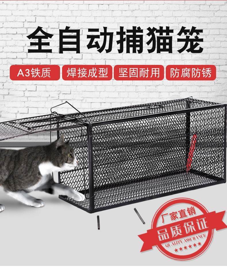 人道救助笼全自动大号捕猫笼流浪猫寻猫神器加厚捉猫笼野外抓猫笼 - 图1