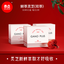 (Triple Boxed) Gano Excel Red Dot Fresh Extract GANO PLUS Gano Plus Double Extraction Frozen Powder