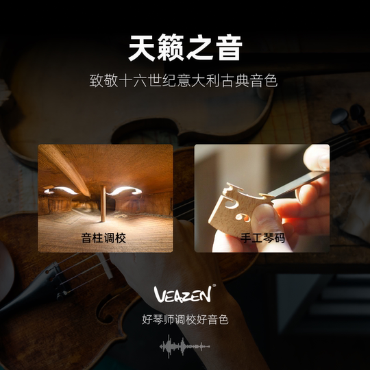 VEAZEN Feisen SV338 solid wood beginner professional grade examination performance children's entry-level practice handmade violin
