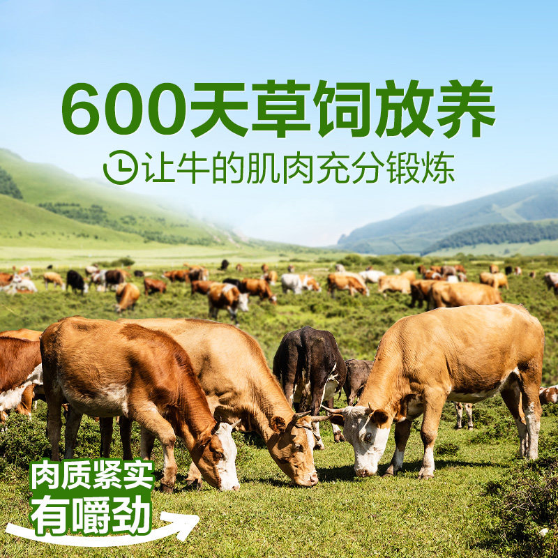 央妈推荐内蒙古牛肉干官方旗舰店风干耐嚼孕妇休闲零食独立小包装,淘宝优惠券,粉丝福利购,淘宝优惠卷