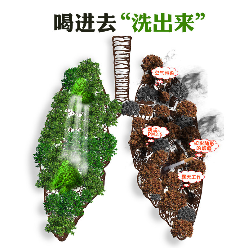 胖大海咽炎茶养生茶叶清肺包金银花 沁晚香养生茶