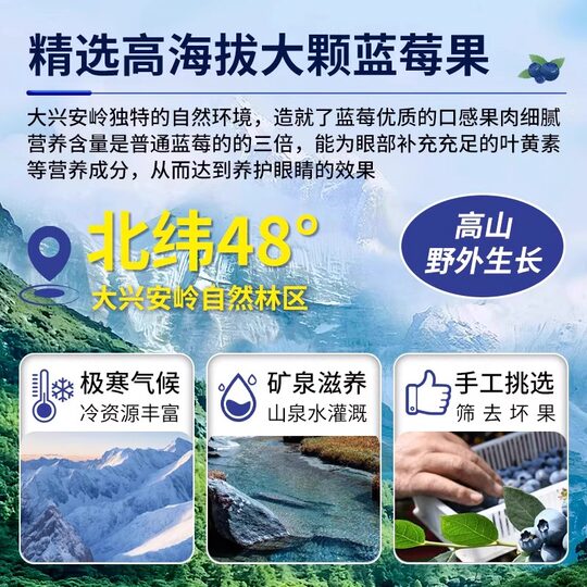 Changbai Mountain Extra Large Dried Blueberries