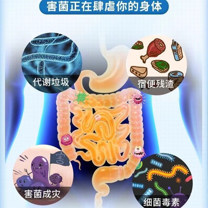 大人儿童女性调理肠胃仁和粉益生菌 沁晚香益生菌