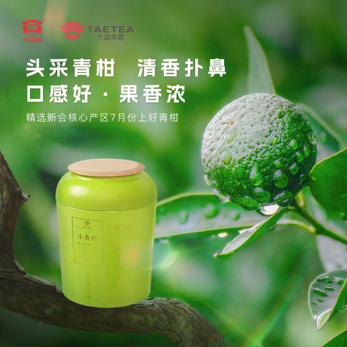 大益茶庭小青柑110g*2罐普洱熟茶头采新会柑普茶小青桔普洱独立装 - 图0