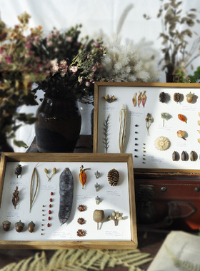 样板间书房摆件植物主题花艺师永生花玻璃罩展示盒设计师原创