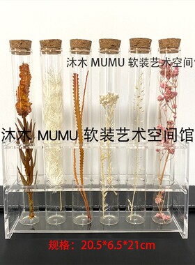 现在样板间昆虫标本主题干花