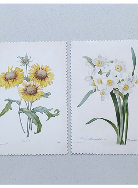 样板间手工艺实验室动植物主题昆虫花艺装饰画标本书房软装饰组合