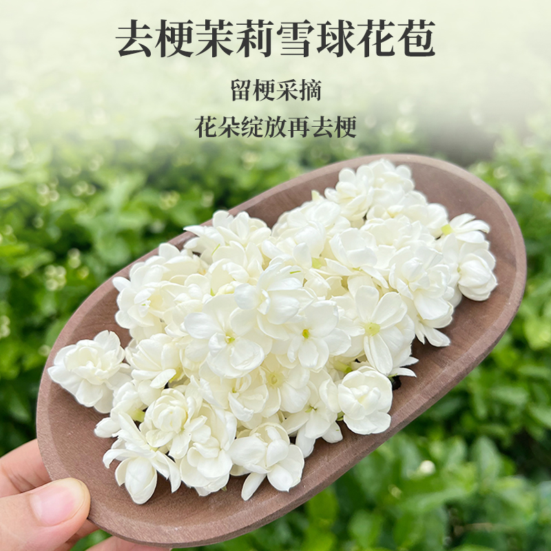 广西横县茉莉雪球花茶可食用泡茶桂花玫瑰花组合茶茉莉花苞孕妇茶 - 图0