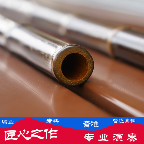 专业成人学生八孔洞箫GF调入门初级箫音准专业 新手轻易上手吹响 - 图1