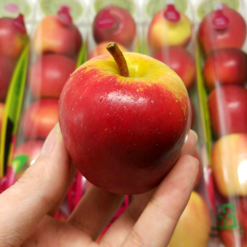 炜顿旗舰店新西兰小苹果进口rockit试管火箭果3管当季新鲜孕妇水果顺丰包邮3