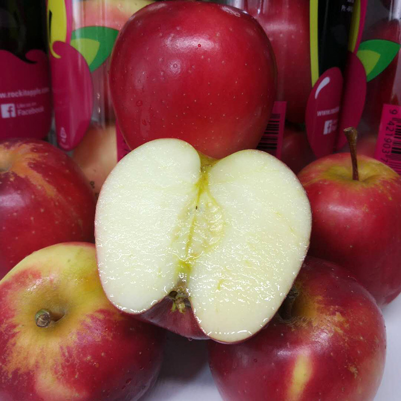 炜顿旗舰店新西兰小苹果进口rockit试管火箭果3管当季新鲜孕妇水果顺丰包邮0