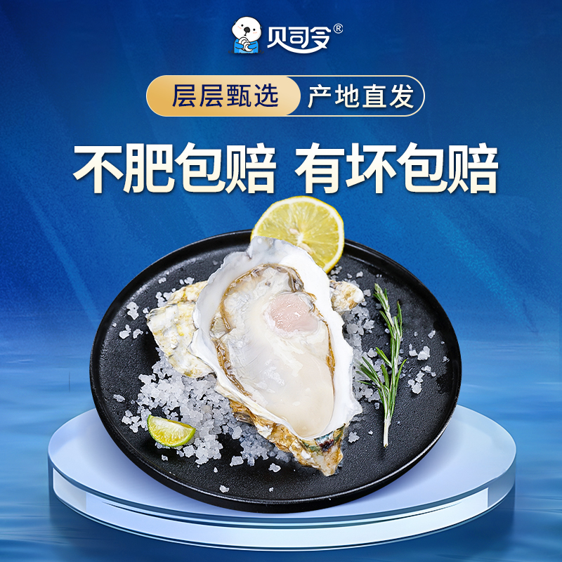 贝司令乳山鲜活10斤特大6xl海蛎子 贝司令生蚝
