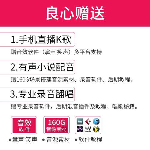 American SE DM1 Глава движущегося круга Микрофона усилитель Профессиональный сцену SM58S Beta58 Микрофон