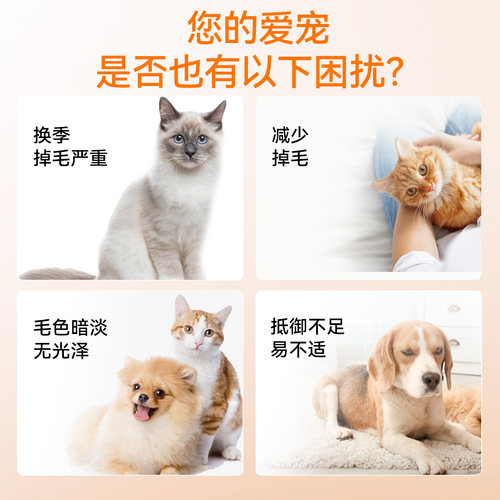nowfoods诺奥深海鱼油软胶囊人宠共用鱼油猫咪狗狗专用美毛亮毛 - 图1