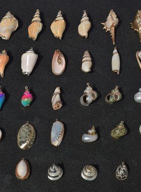 天然贝壳海螺吊坠单坠海洋风女