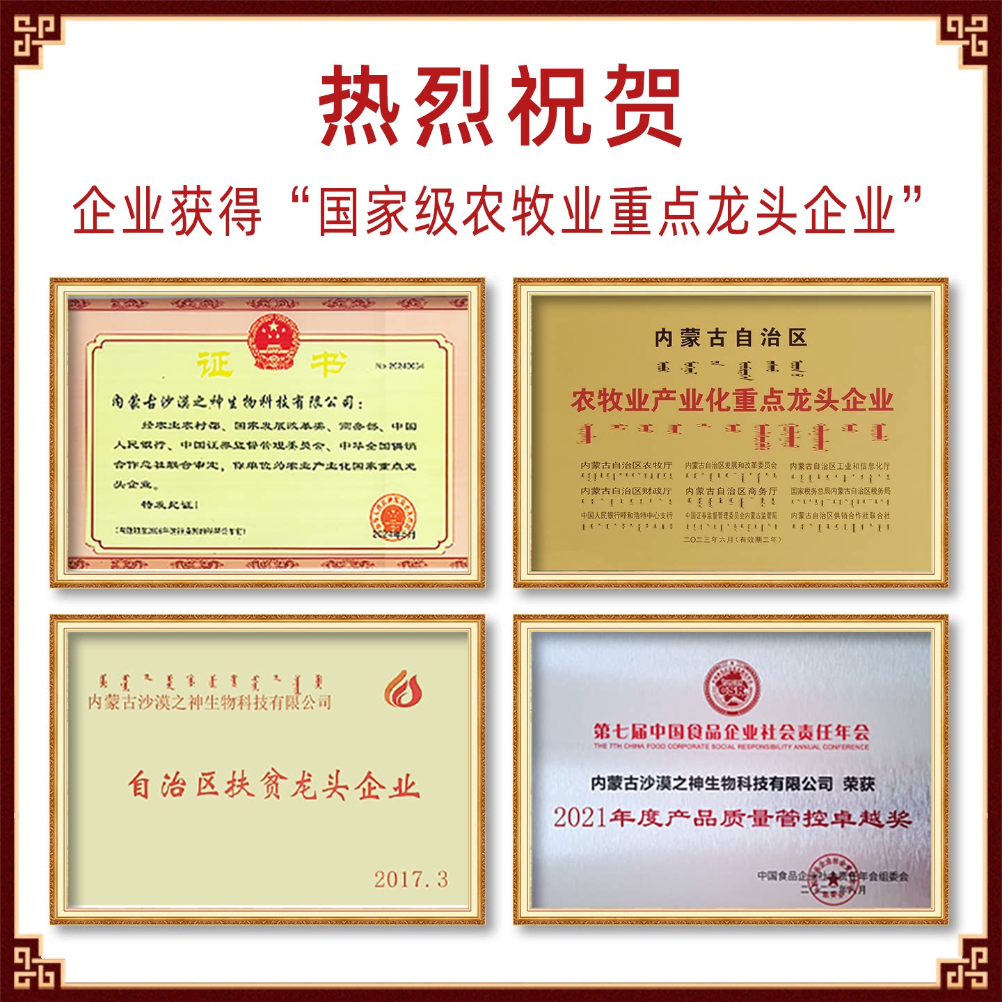 有机纯骆驼奶粉中老年孕妇调理内蒙新疆骆驼奶至品驼乳高钙驼奶粉