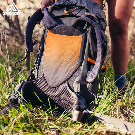 GREGORY MAVEN has no domain