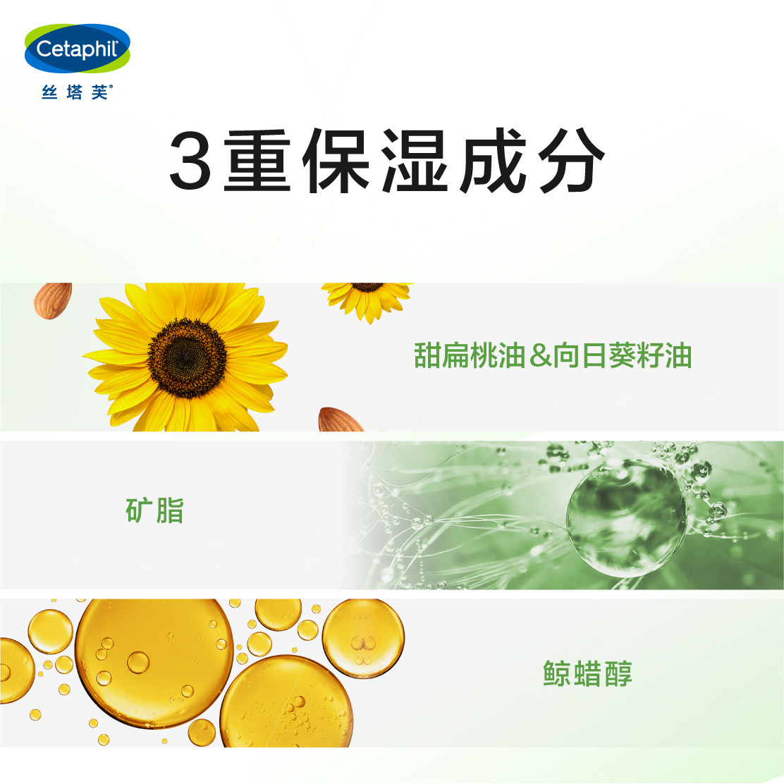  丝塔芙雅妆乳液/面霜