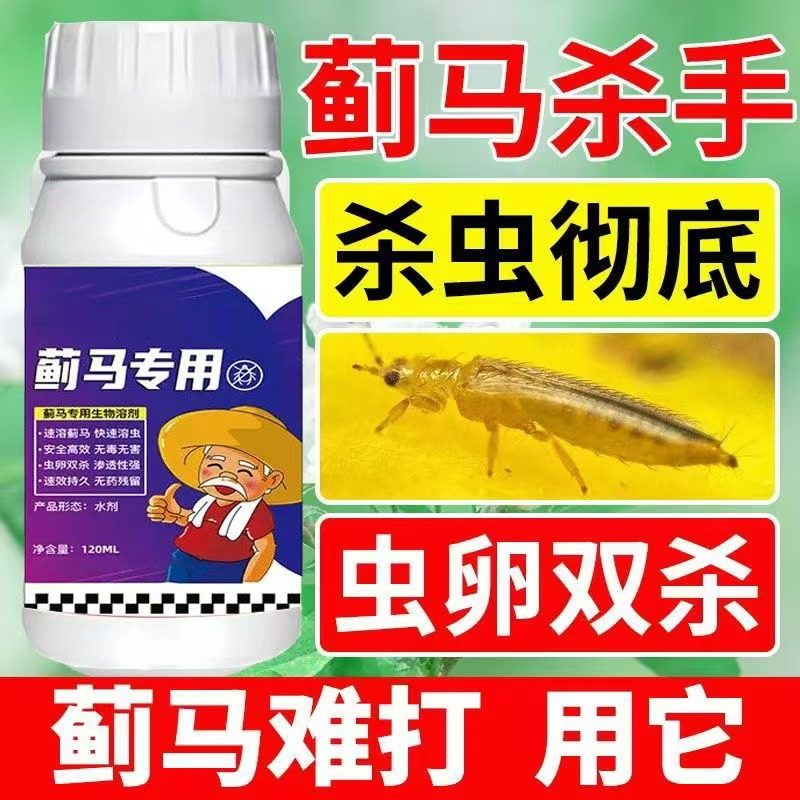 全年无蓟马】蓟马专用抗性蓟马果园菜地花卉蚜虫白粉虱虫害无,淘宝优惠券,粉丝福利购,淘宝优惠卷
