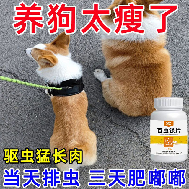 Deworming medicine for pets, deworming medicine for dogs