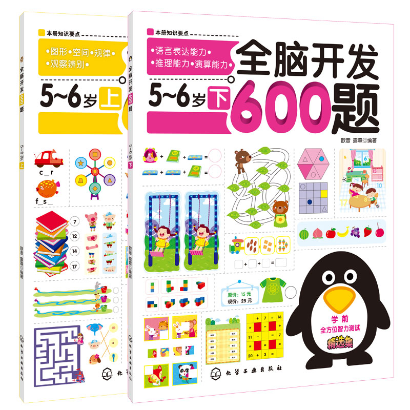 思维逻辑训练书 全脑开发600题5-6岁 全套2册 儿童幼儿园大班幼小衔接全套教材益智思维训练书籍智力全脑左右脑开发数学思维训练书