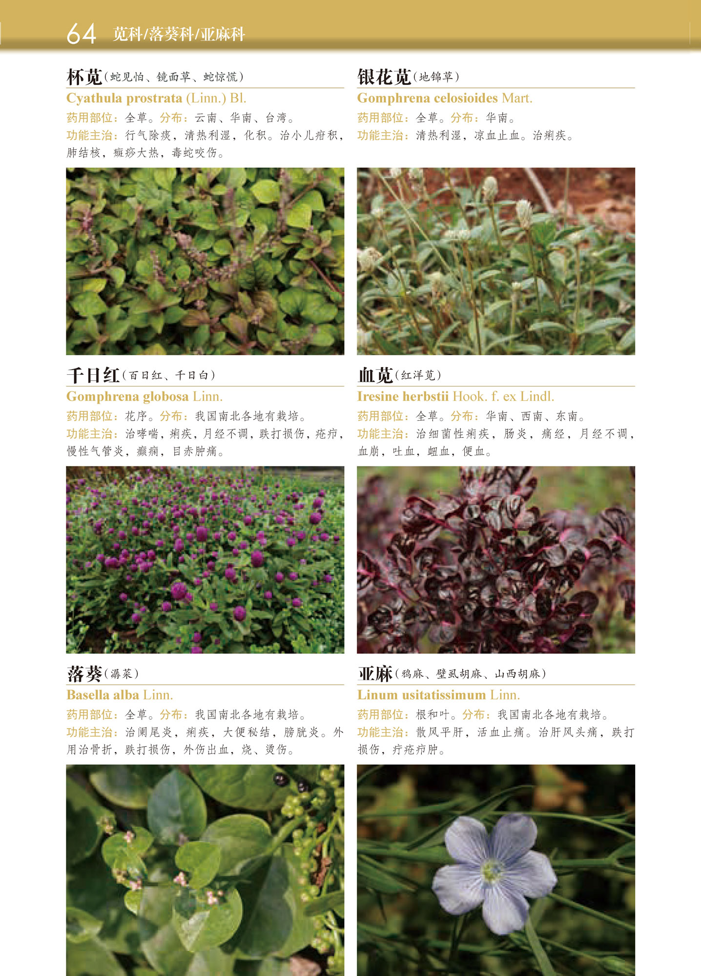 正版 常用中草药图谱2700种 中草药鉴别辨别方法中草药名称 中草药鉴别辨别方法 中草药品种种类分类形态形 中草药野外识别手书籍