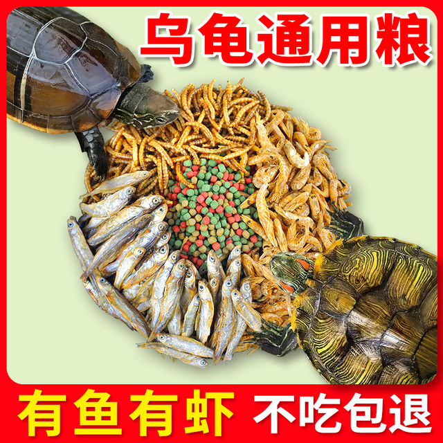 ທາດການຊຽມສູງທົ່ວໄປແລະທາດໂປຼຕີນສູງປາແລະກຸ້ງອາຫານເຕົ່າແຫ້ງສໍາລັບເຕົ່າ