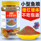 ປາທອງ, betta, ອາຫານ guppy, ປານ້ອຍ particles ອາຫານປາພິເສດ, ອາຫານປານ້ອຍ, ອາຫານປາທົ່ວໄປ