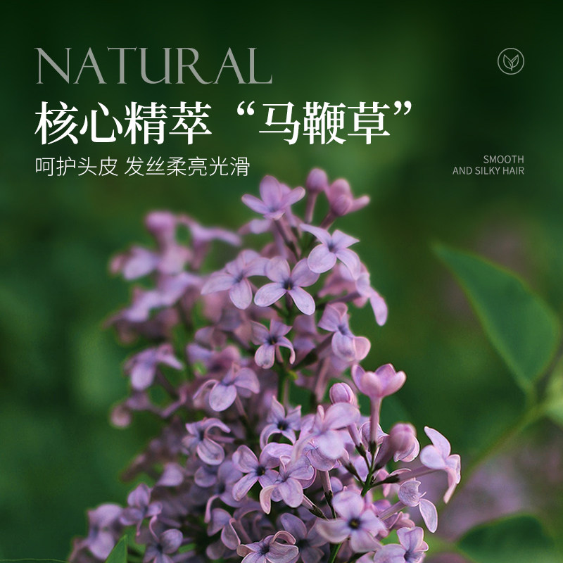 【官方正品】丝密生马鞭草洗发水锁水柔顺丝滑轻盈洗发露改善毛躁 - 图2