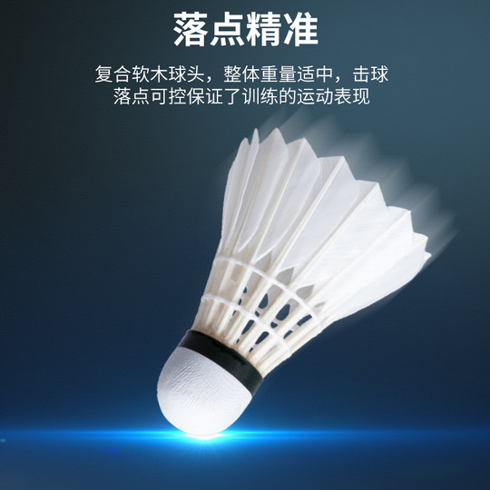 WAVAW Badminton-Profi, echter, langlebiger Trainingsball