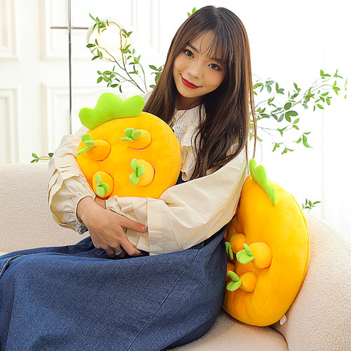 高颜值婴幼儿童益智玩具早教拔萝卜玩偶1到6岁宝宝婴儿胡萝卜靠垫 - 图0