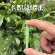 家庭园艺肥料 植物营养棒缓释盆栽花卉家用懒人养花通用型营养液片绿植土壤