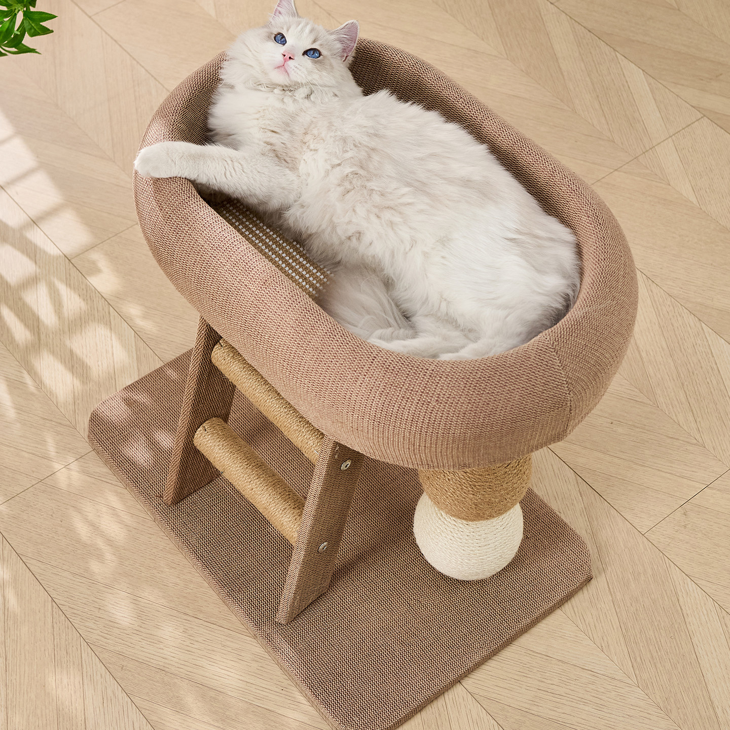 猫窝猫爬架一体剑麻柱小型猫抓板不占地四季通用猫抓柱幼猫咪玩具,淘宝优惠券,粉丝福利购,淘宝优惠卷