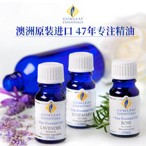 巴克菲利澳洲香薰鼠尾草芳香精油 buckleyphillips香熏香料