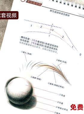 零基础真人感野生眉练习册