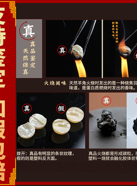 保真天然西藏羊角手串