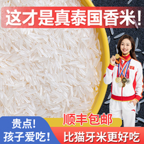 Pure imported Thai jasmine rice 2023 new rice long grain fragrant rice vacuum official flagship cat tooth 10 catty