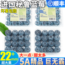 Cisfeng Spot 10 Boxes Peru Blueberry Fresh Fruit Fresh Fruit When Season Alpine Pleasant to remove pregnant woman The whole box is sweet 9