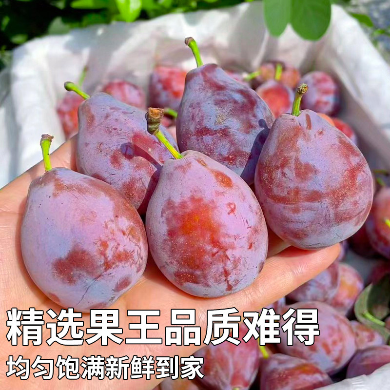 澳洲进口西梅5斤礼盒新鲜水果当季整箱包邮应季鲜果脆甜李子孕妇,淘宝优惠券,粉丝福利购,淘宝优惠卷