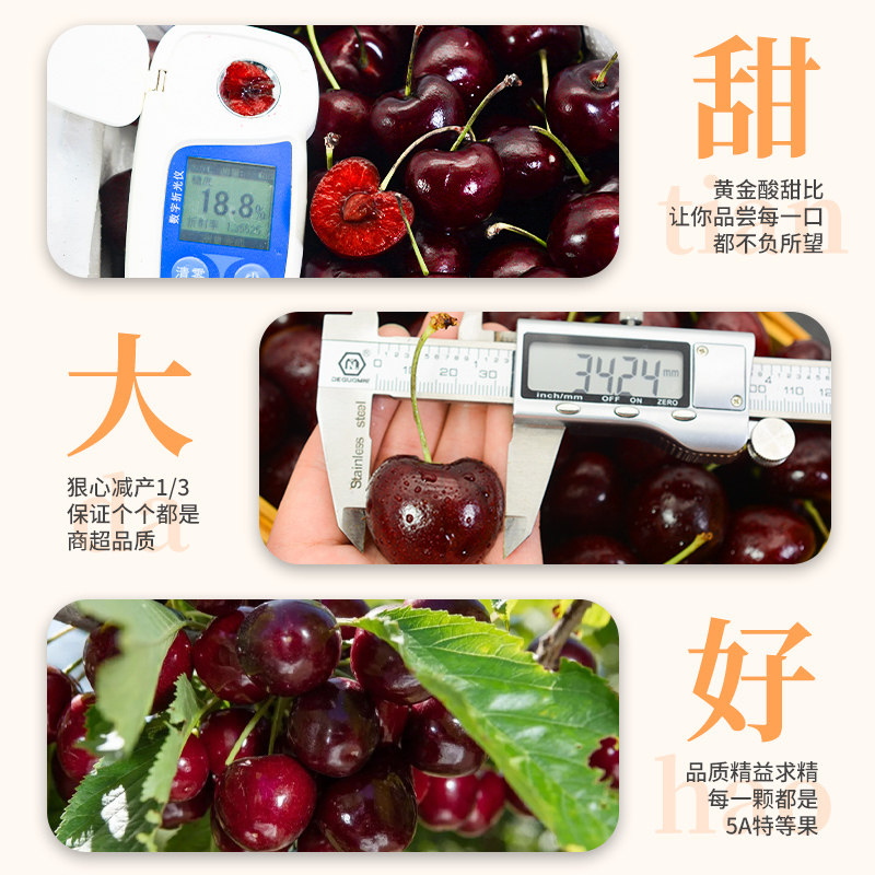 特级现货5斤4j美早新鲜包邮大樱桃 顶掌柜车厘子/樱桃