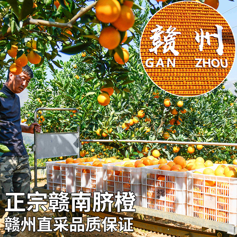 顺丰江西赣南脐橙20斤新鲜水果橙子官方旗舰店现摘礼盒整箱包邮甜,淘宝优惠券,粉丝福利购,淘宝优惠卷