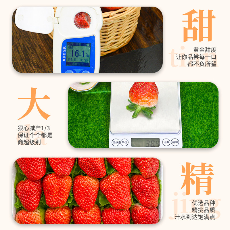 顺丰空运丹东草莓新鲜水果3斤大果奶油红颜九九孕妇当季整箱包邮9,淘宝优惠券,粉丝福利购,淘宝优惠卷