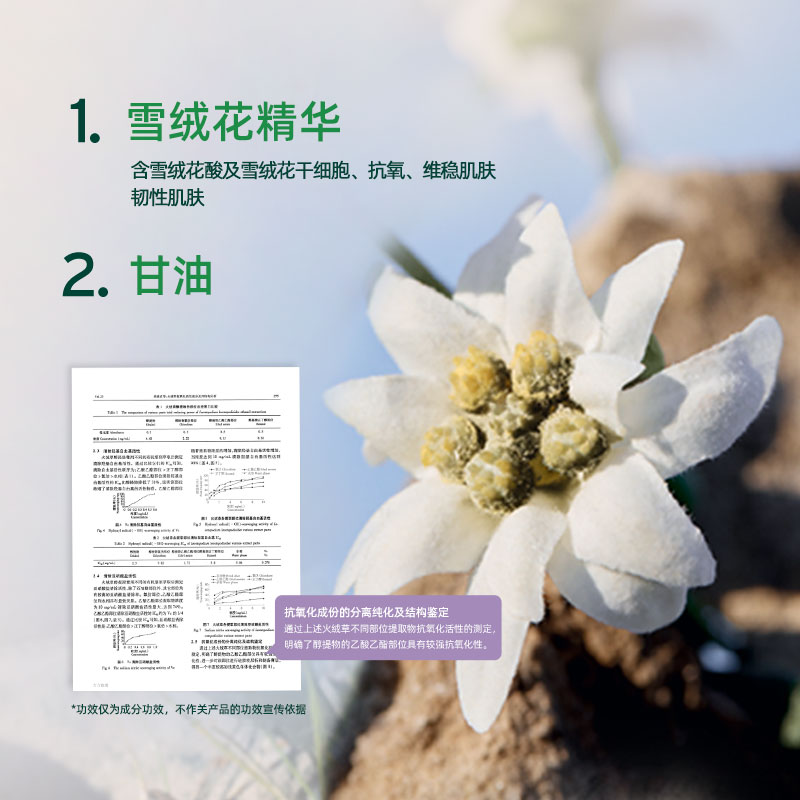 【官方正品】TheBodyShop美体小铺雪绒花面部清洁啫喱100ml温和